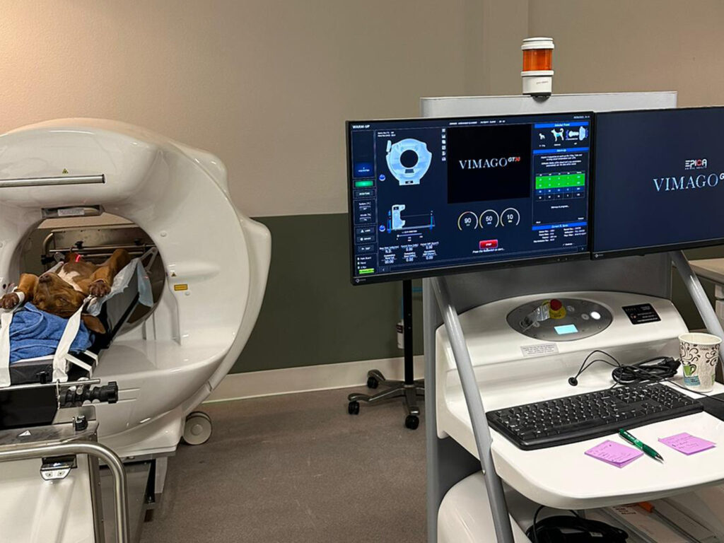 pet-ct exam