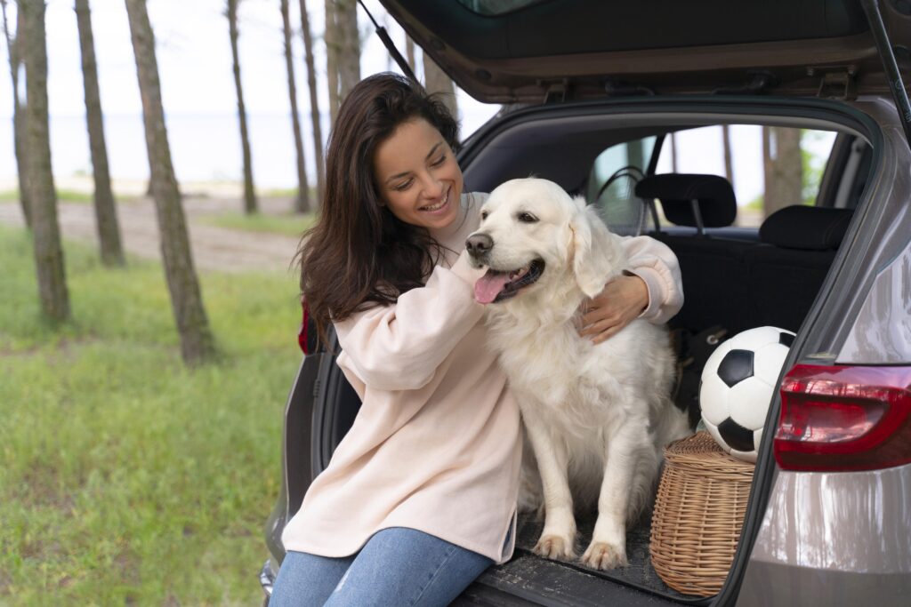 Traveling with pets